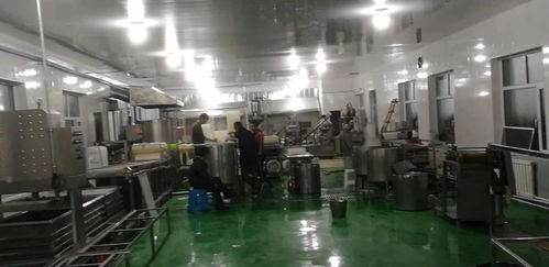 全自动干豆腐机支撑起了一个豆制品厂