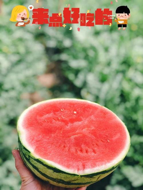 地产吃瓜爆料图片